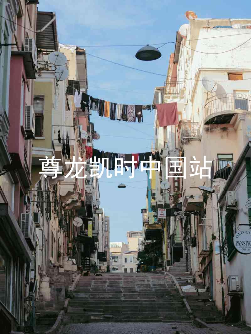 尊龙凯时中国站